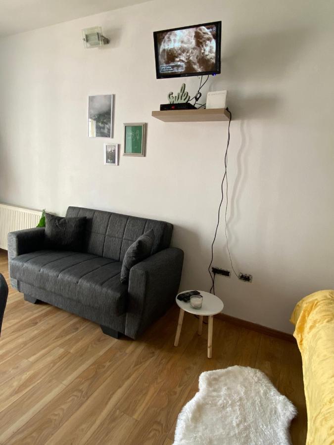 Green Studio ทิมิชัวรา ภายนอก รูปภาพ