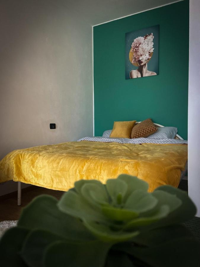 Green Studio ทิมิชัวรา ภายนอก รูปภาพ